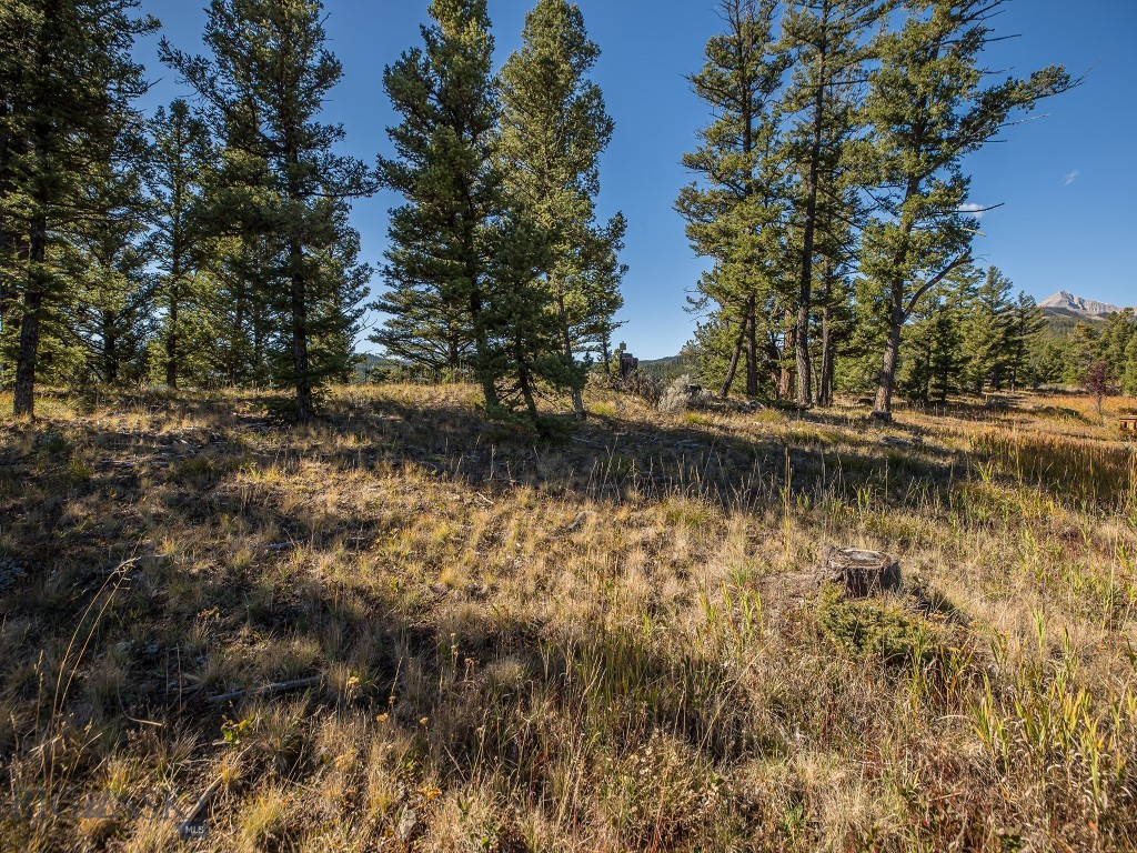 741 Antler Ridge Road, Big Sky MT 59716