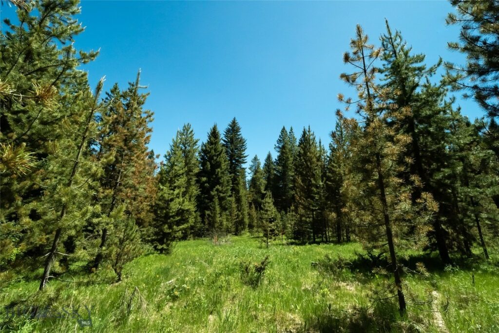 775 Colters Run Loop, Big Sky MT 59730