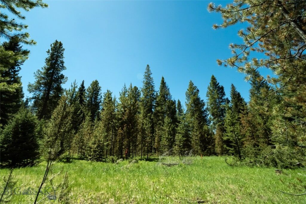 775 Colters Run Loop, Big Sky MT 59730