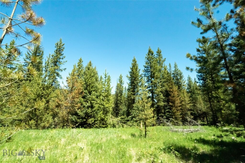 775 Colters Run Loop, Big Sky MT 59730