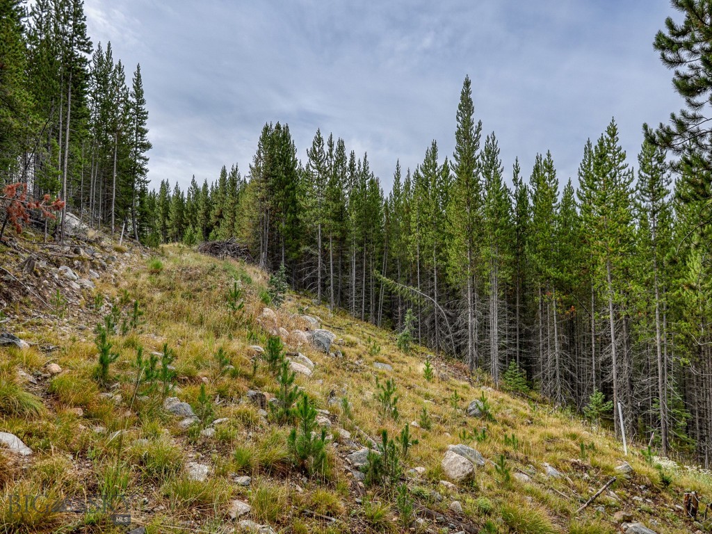 89 Summit View, Big Sky MT 59716