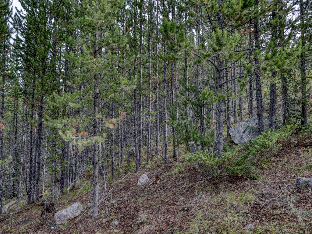 89 Summit View, Big Sky MT 59716