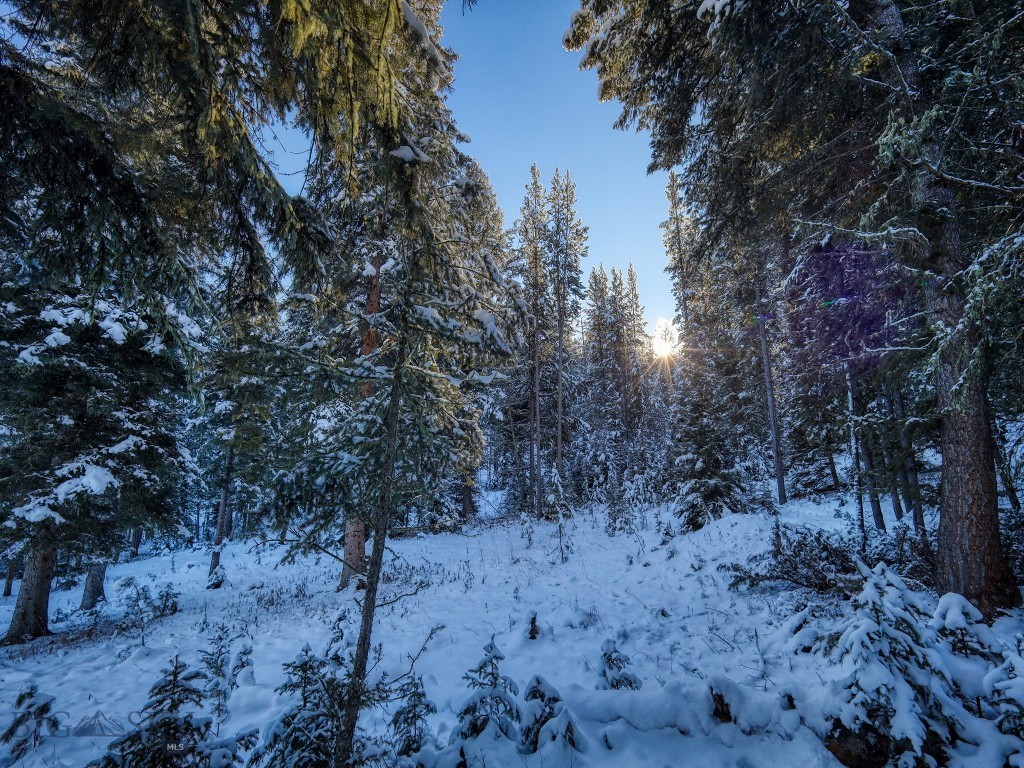 TBD Macks Road, Big Sky MT 59716