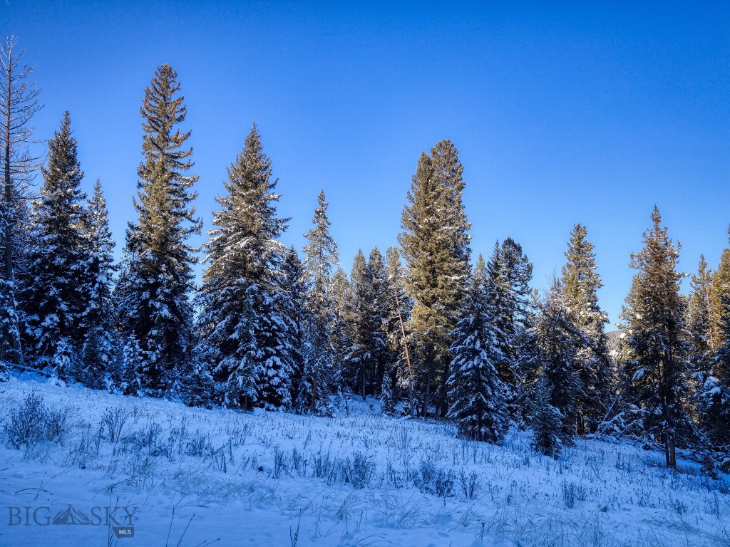 TBD Macks Road, Big Sky MT 59716