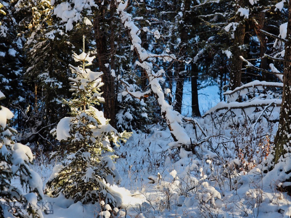 TBD Macks Road, Big Sky MT 59716