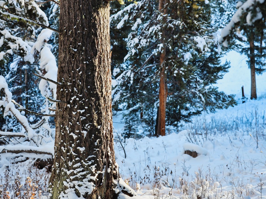 TBD Macks Road, Big Sky MT 59716