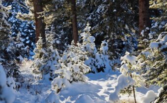 TBD Macks Road, Big Sky MT 59716