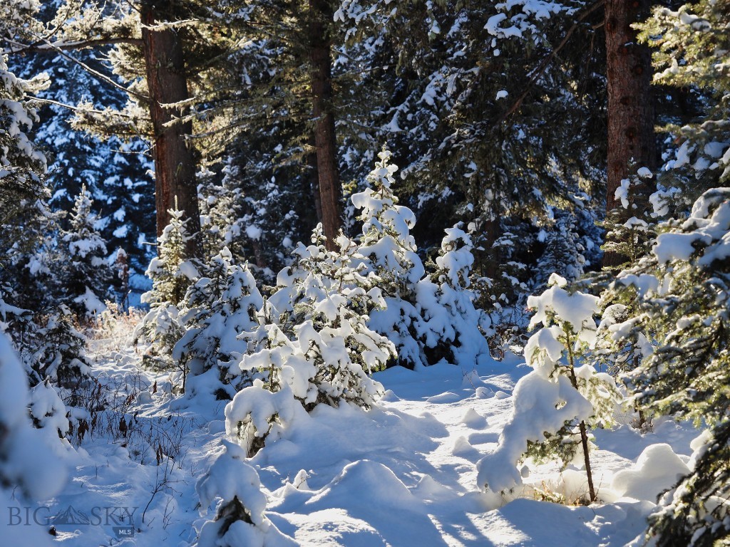 TBD Macks Road, Big Sky MT 59716