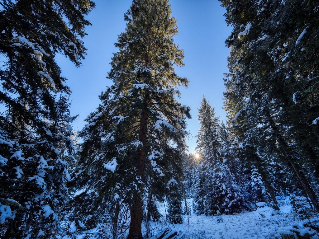 TBD Macks Road, Big Sky MT 59716