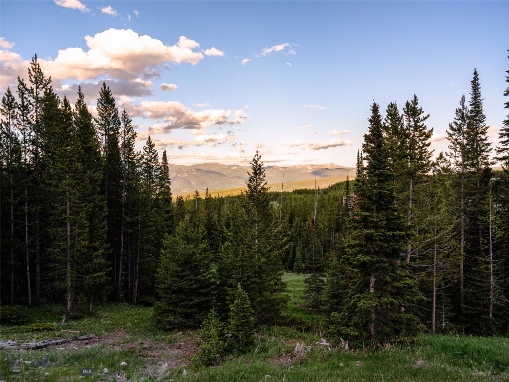 TBD Eagle View Trail, Ski Tip Glade Lot 16, Big Sky MT 59716