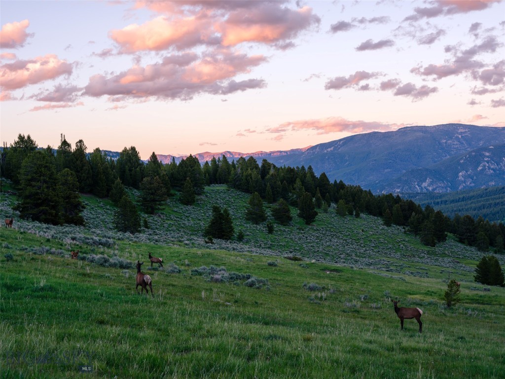 TBD Eagle View Trail, Ski Tip Glade Lot 16, Big Sky MT 59716
