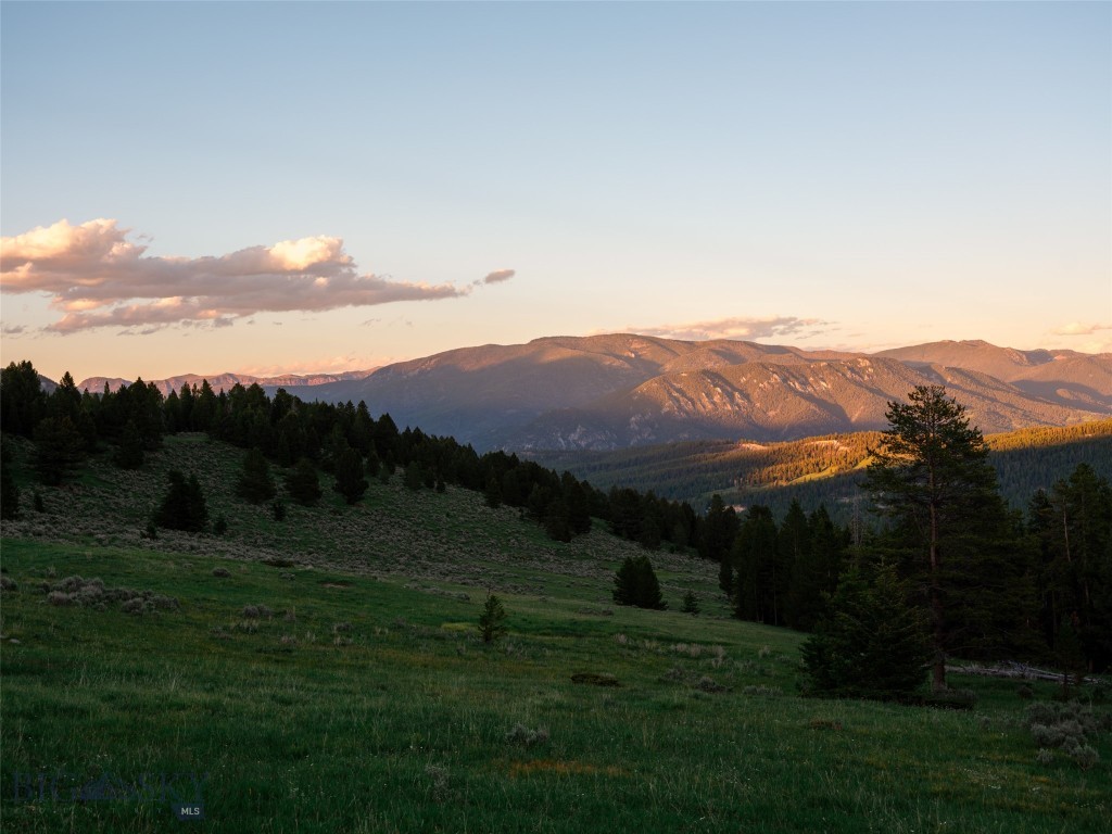 TBD Eagle View Trail, Ski Tip Glade Lot 16, Big Sky MT 59716