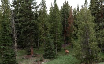 TBD Eagle View Trail, Ski Tip Glade Lot 16, Big Sky MT 59716