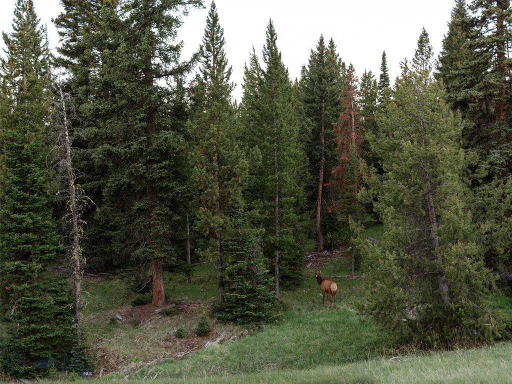 TBD Eagle View Trail, Ski Tip Glade Lot 16, Big Sky MT 59716
