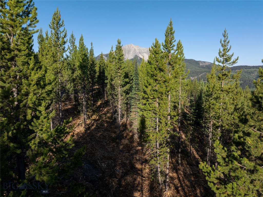 TBD Sawtooth Road, Big Sky MT 59716