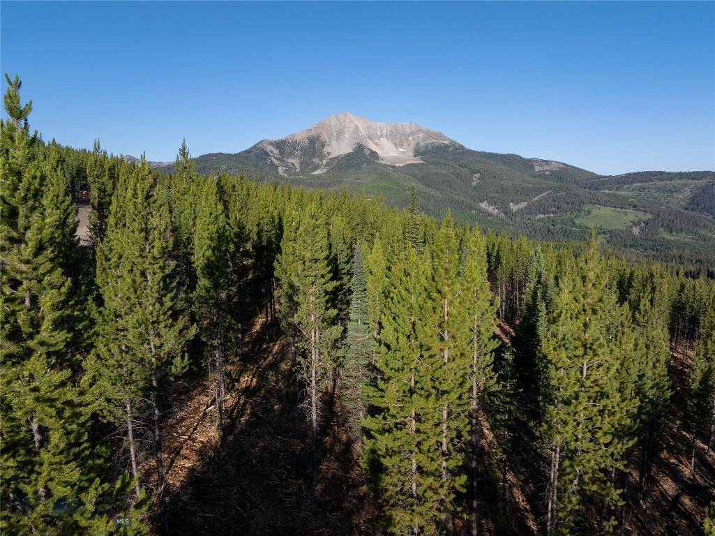 TBD Sawtooth Road, Big Sky MT 59716