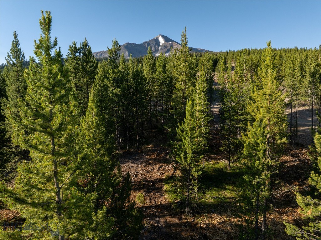 TBD Sawtooth Road, Big Sky MT 59716