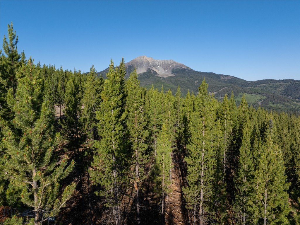 TBD Sawtooth Road, Big Sky MT 59716
