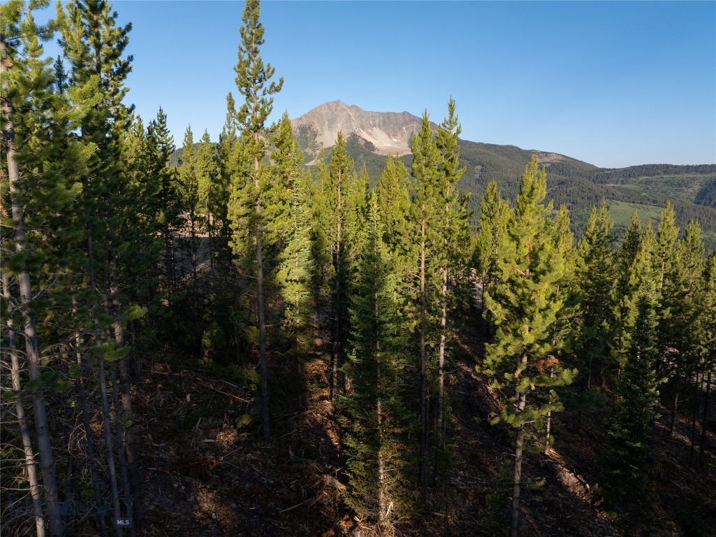 TBD Sawtooth Road, Big Sky MT 59716