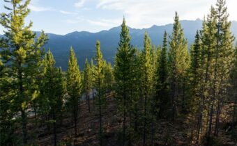 TBD Sawtooth Road, Big Sky MT 59716