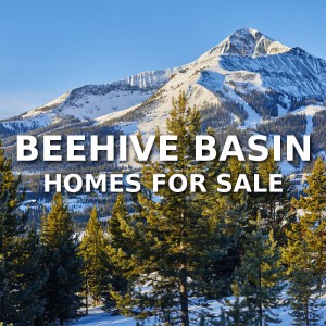 Beehive Basin Homes For Sale