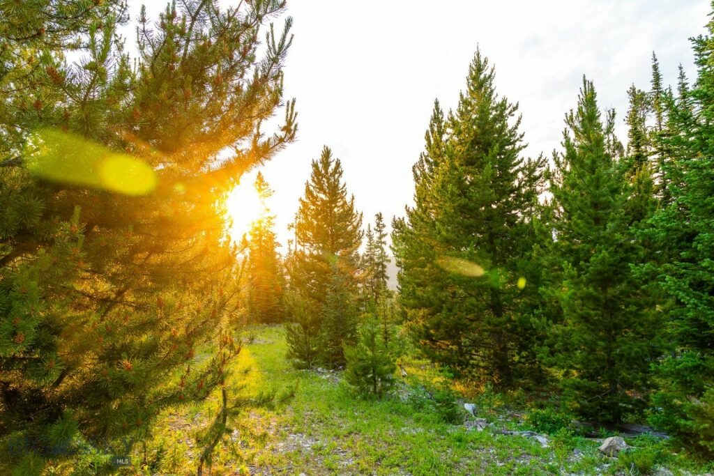 Big EZ Lot 34 Doolittle Drive, Big Sky MT 59716