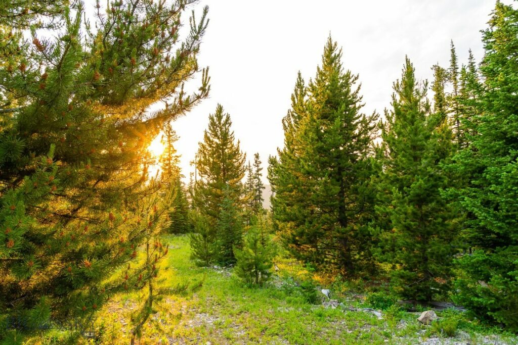 Big EZ Lot 34 Doolittle Drive, Big Sky MT 59716