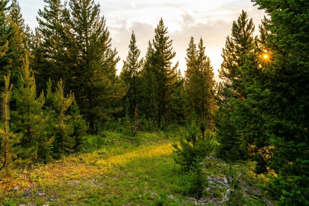 Big EZ Lot 34 Doolittle Drive, Big Sky MT 59716