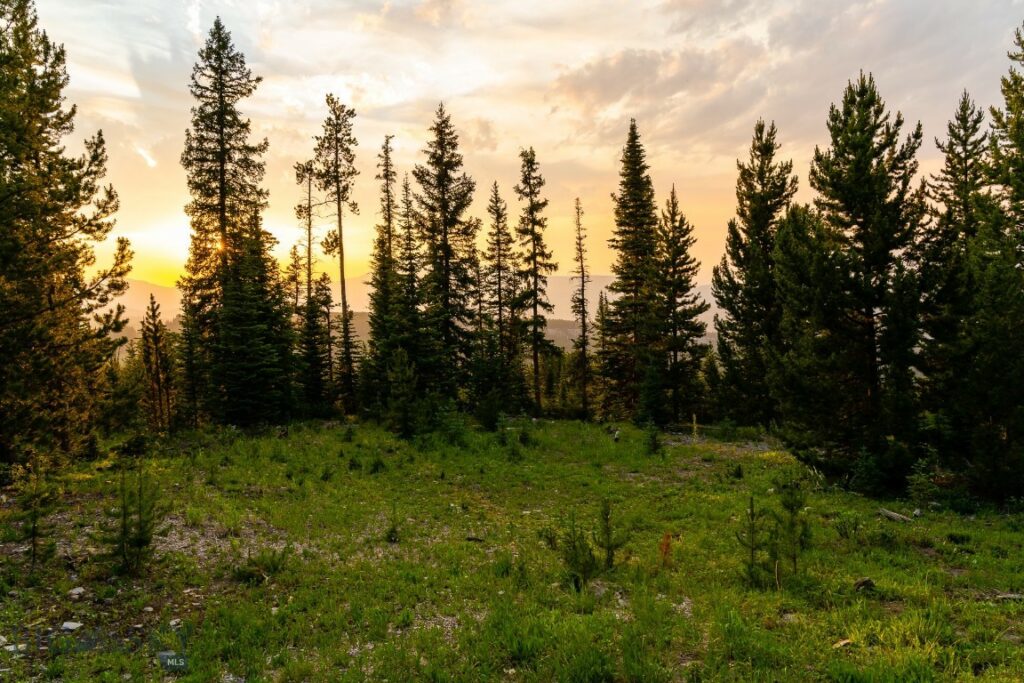 Big EZ Lot 34 Doolittle Drive, Big Sky MT 59716