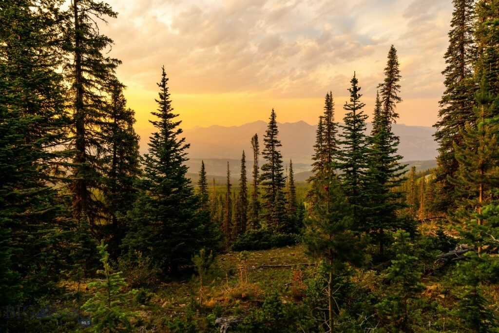 Big EZ Lot 34 Doolittle Drive, Big Sky MT 59716