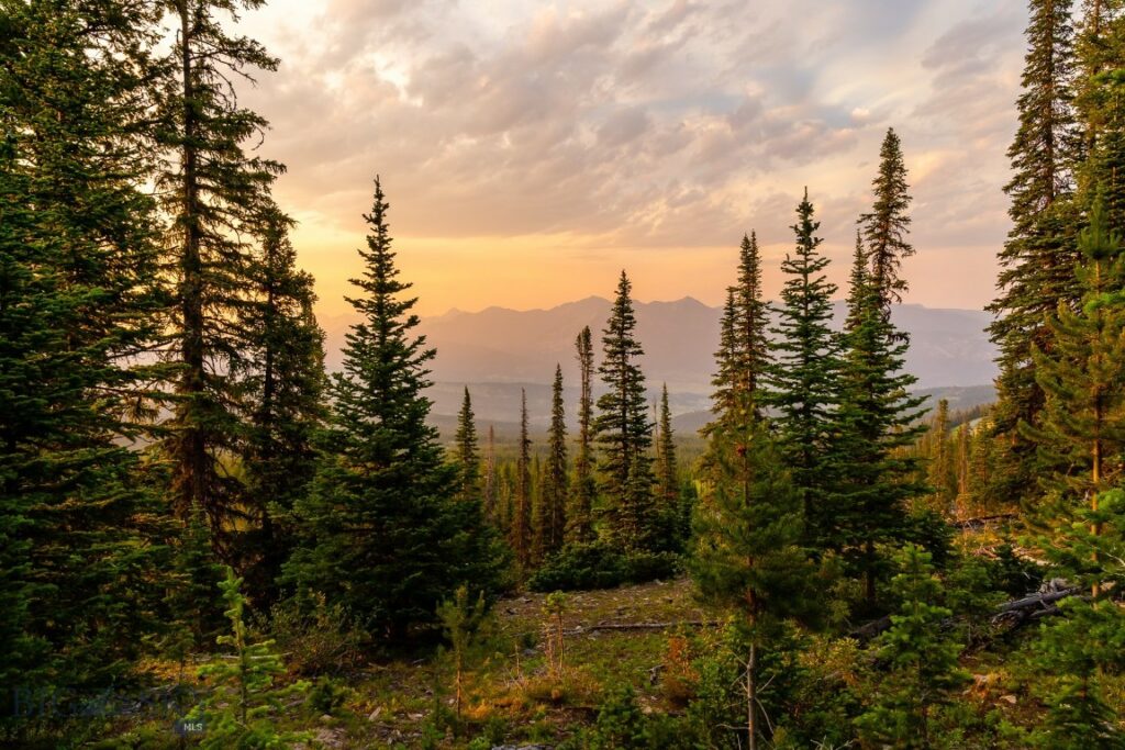 Big EZ Lot 34 Doolittle Drive, Big Sky MT 59716