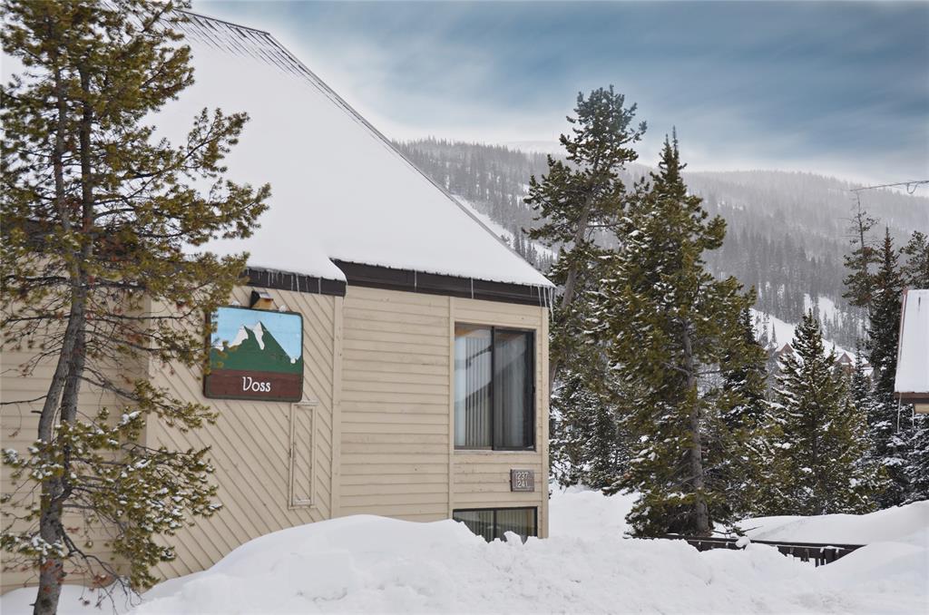 SOLD Big Sky Hill Condo, 21 Sitting Bull DELGER REAL ESTATE BIG SKY