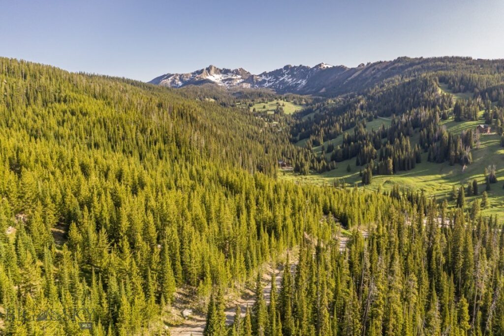 TBD Beehive Basin Road, Lot 4, Big Sky MT 59716