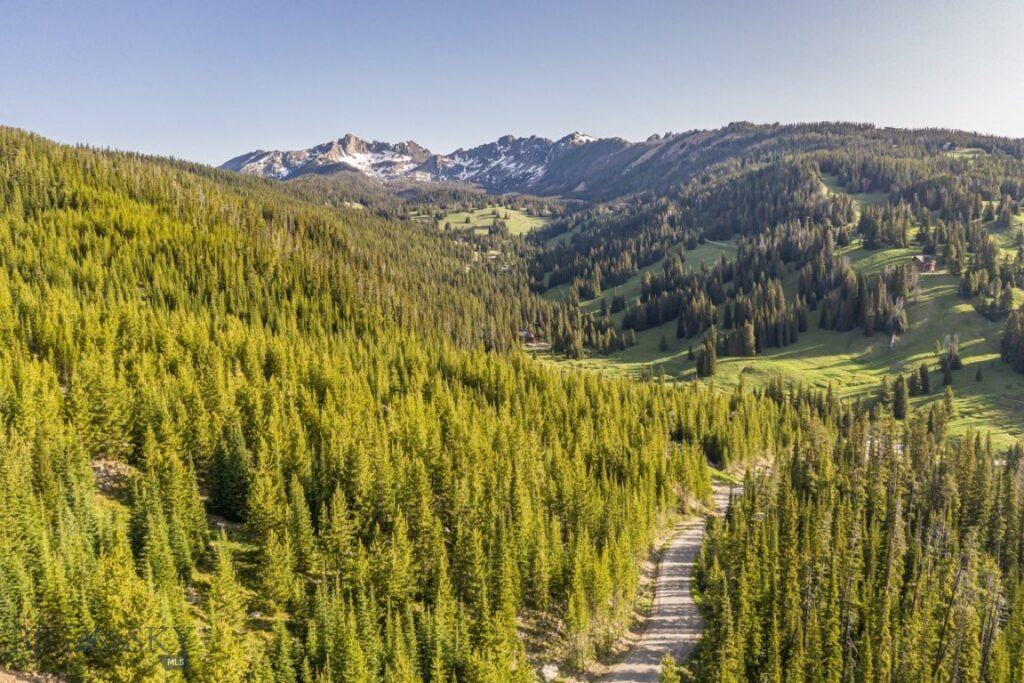 TBD Beehive Basin Road, Lot 4, Big Sky MT 59716