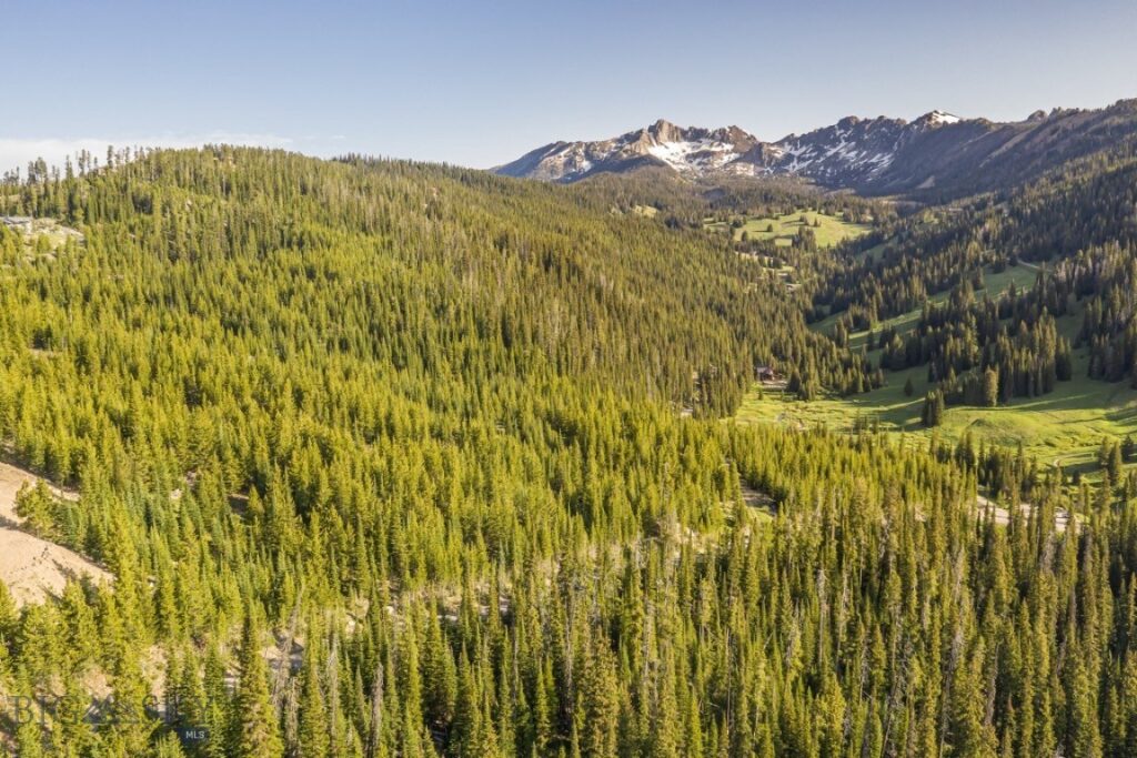 TBD Beehive Basin Road, Lot 4, Big Sky MT 59716