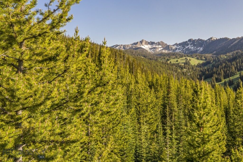 TBD Beehive Basin Road, Lot 4, Big Sky MT 59716
