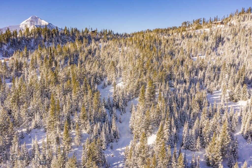 TBD Beehive Basin Road, Lot 4, Big Sky MT 59716