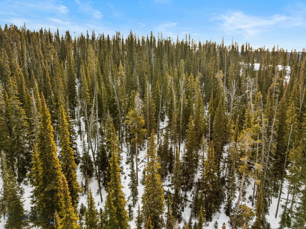 TBD White Butte Road, Big Sky MT 59716