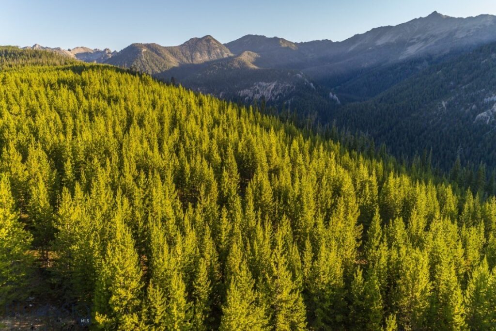 TBD Ridge Fork Road, Big Sky MT 59716