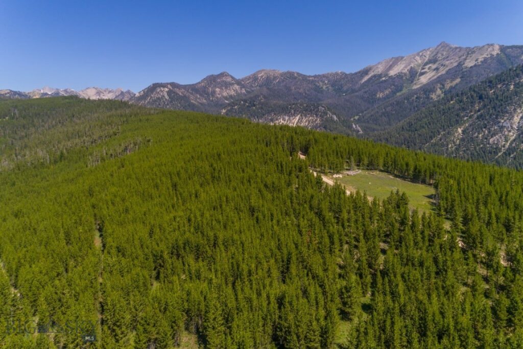 TBD Ridge Fork Road, Big Sky MT 59716