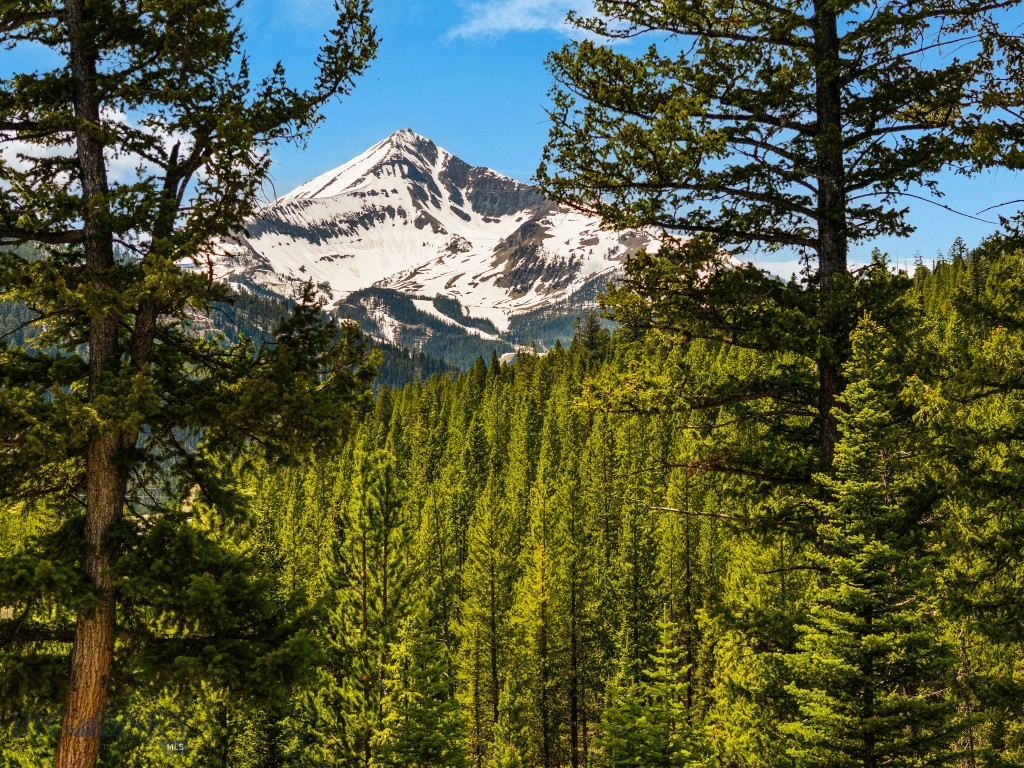 NHN First Left Drive, Big Sky MT 59716