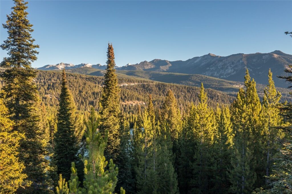 TBD Bitterbrush Trail, Lot 39, Big Sky MT 59716