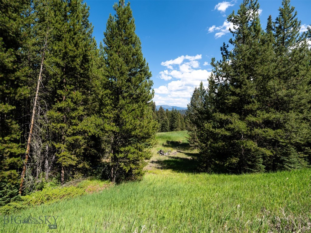 Lot 103 W Elk Valley Road, Big Sky MT 59716