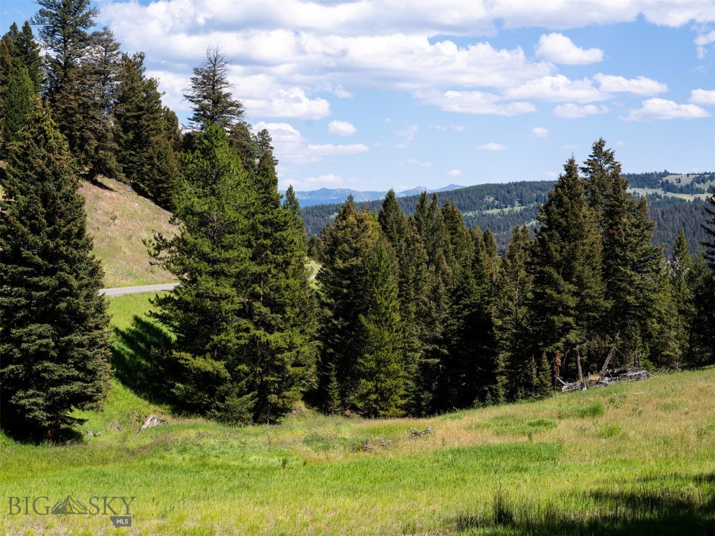 Lot 103 W Elk Valley Road, Big Sky MT 59716