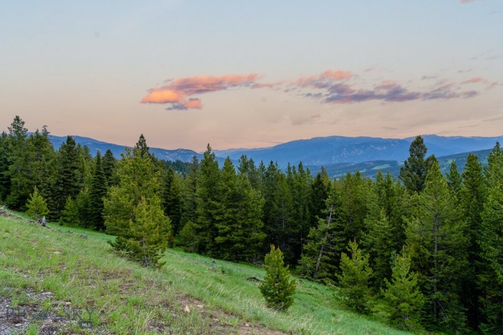 Lot 103 W Elk Valley Road, Big Sky MT 59716