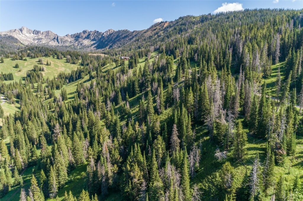 Lot 16 Beehive Basin Road, Big Sky MT 59716