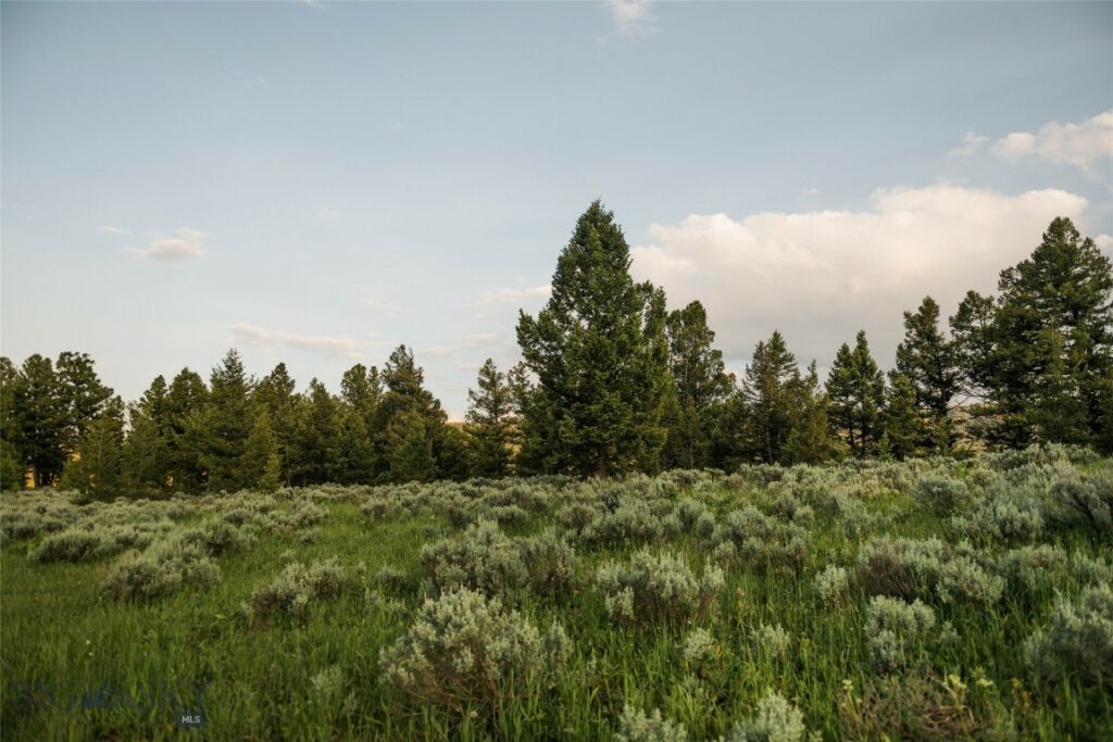 Lot 20 Charles Russell Loop, Big Sky MT 59716