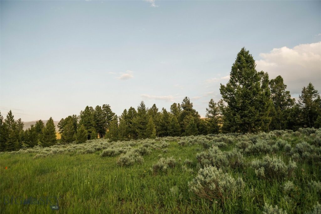 Lot 20 Charles Russell Loop, Big Sky MT 59716