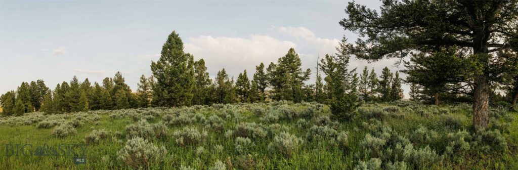 Lot 20 Charles Russell Loop, Big Sky MT 59716