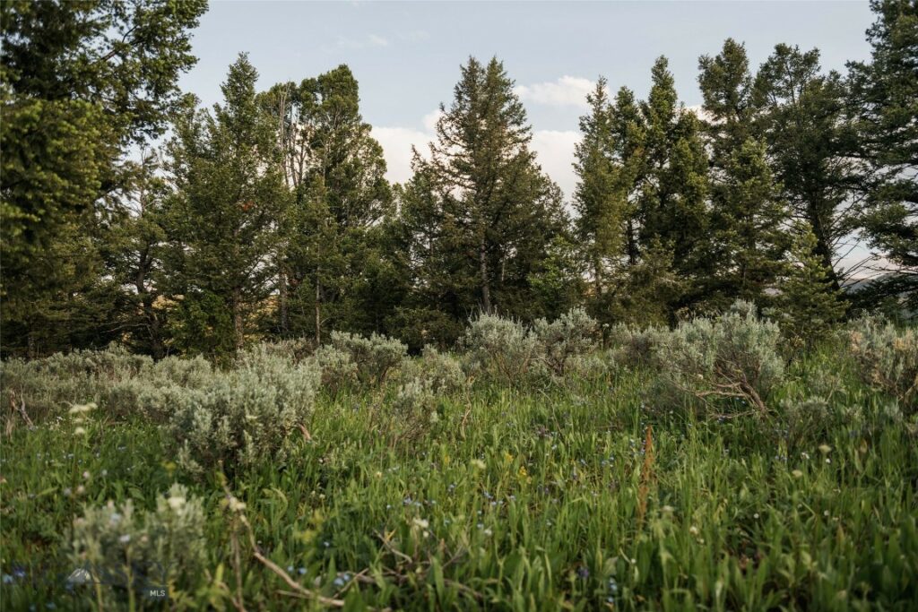 Lot 20 Charles Russell Loop, Big Sky MT 59716